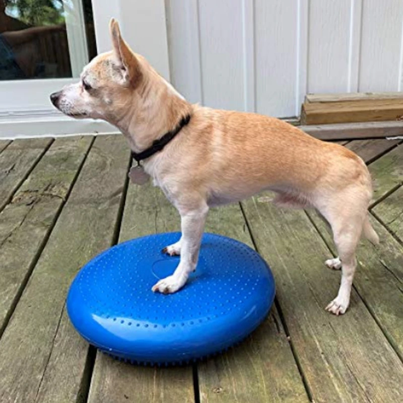 Hunde Trainings hilfen Balance – Sports Equipment For Training Bewertung und Preis